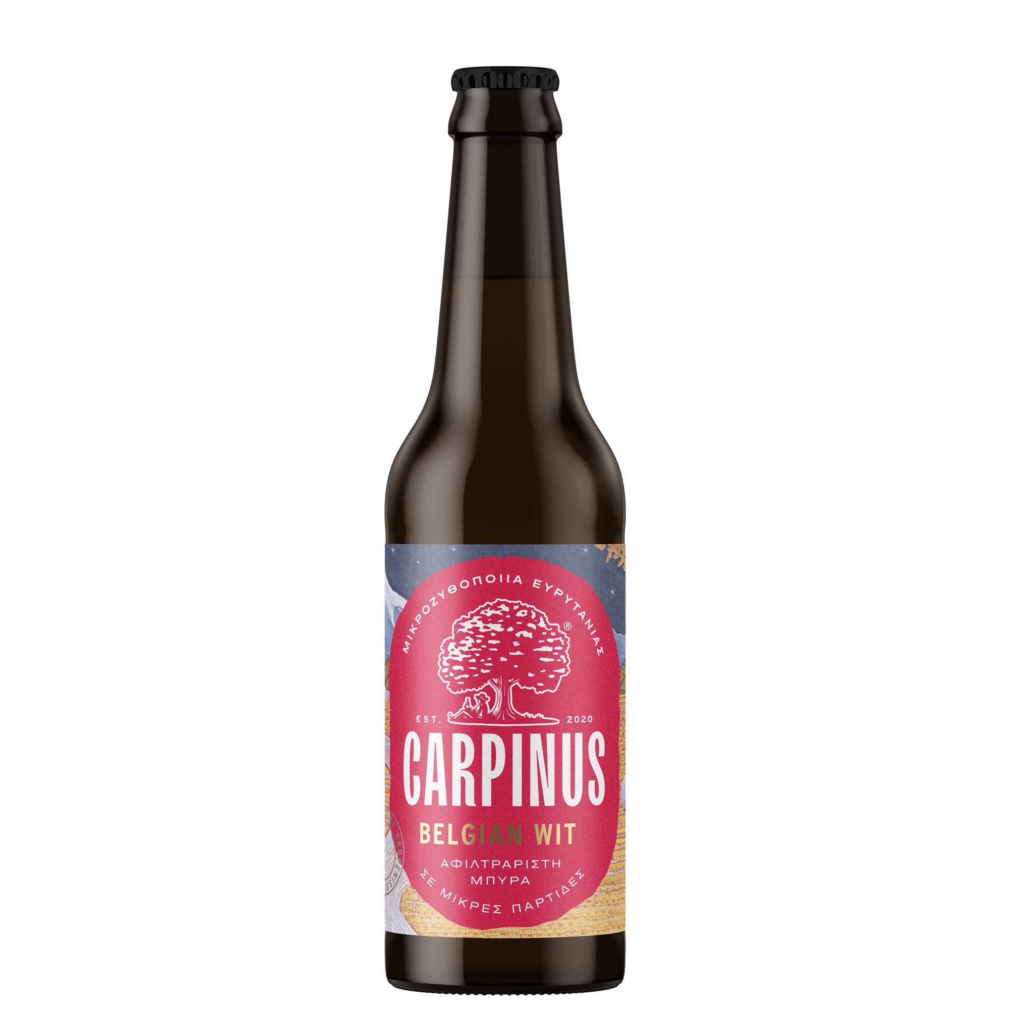 Carpinus Belgian Wit