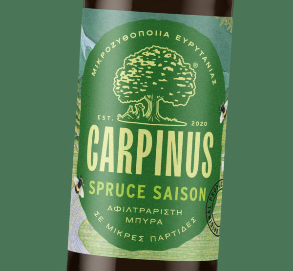 Carpinus Spruce Saison